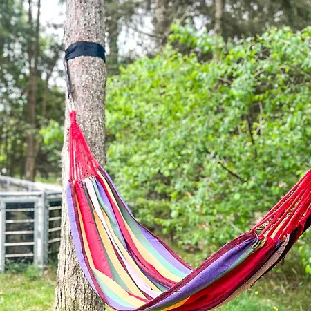 Dom wakacyjny Lovely In With Kitchen *